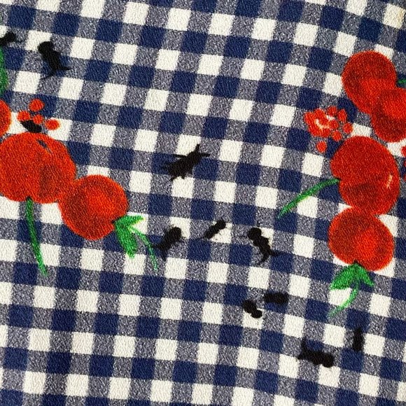 (ANTIX) Checkered Blue, White and Red Dress with Little Ants in Pattern - Picture 5 of 6
